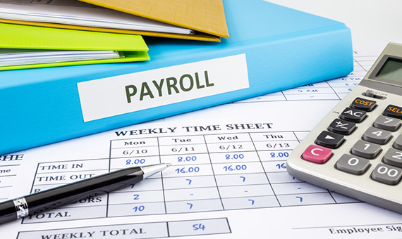 Advance Payroll Features